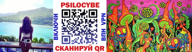 Псилоцибиновые грибы Cubensis  Шилка 