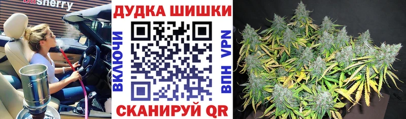 Бошки марихуана гибрид  купить наркоту  Шилка 
